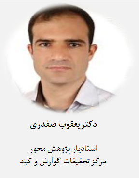 دکتر یعقوب صفدری